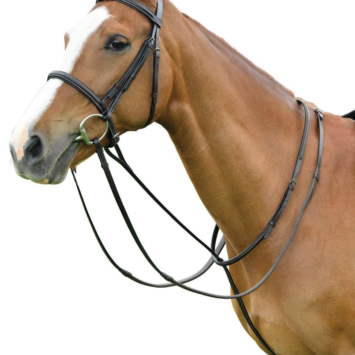 Dublin Standing Padded Leather Martingale