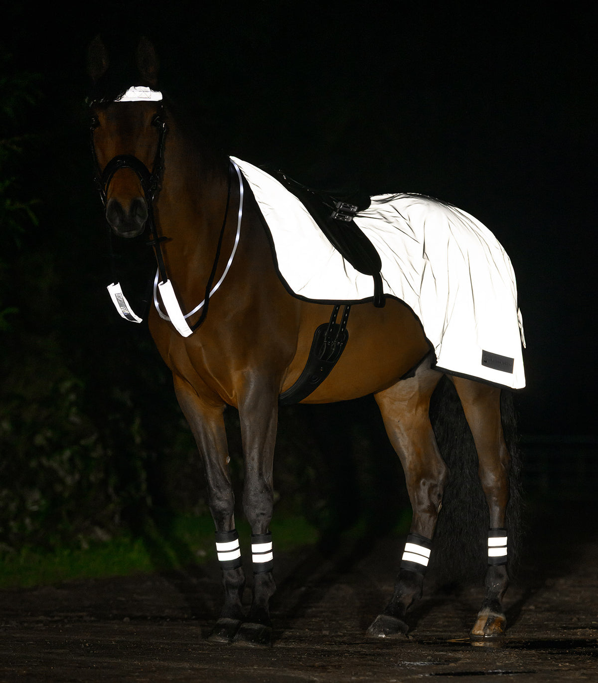 Waldhausen Reflex Exercise Rug