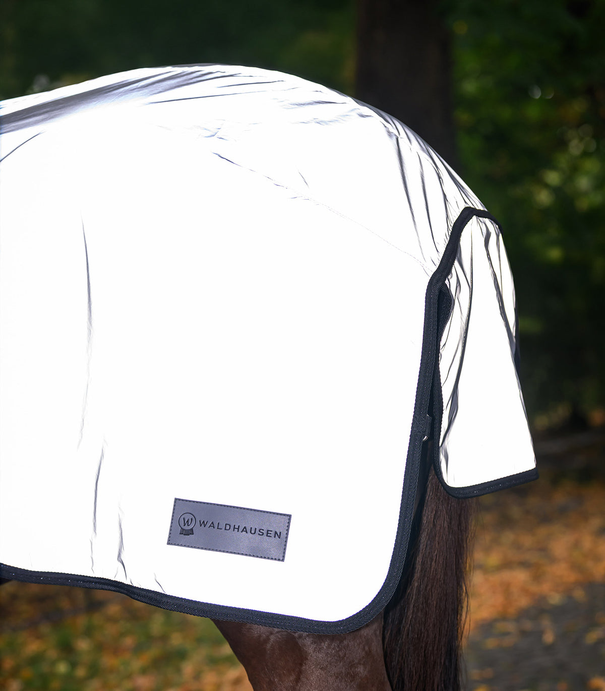 Waldhausen Reflex Exercise Rug