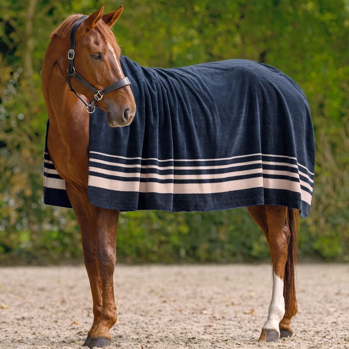 Waldhausen Fleece Rug Sölden #colour_night-blue