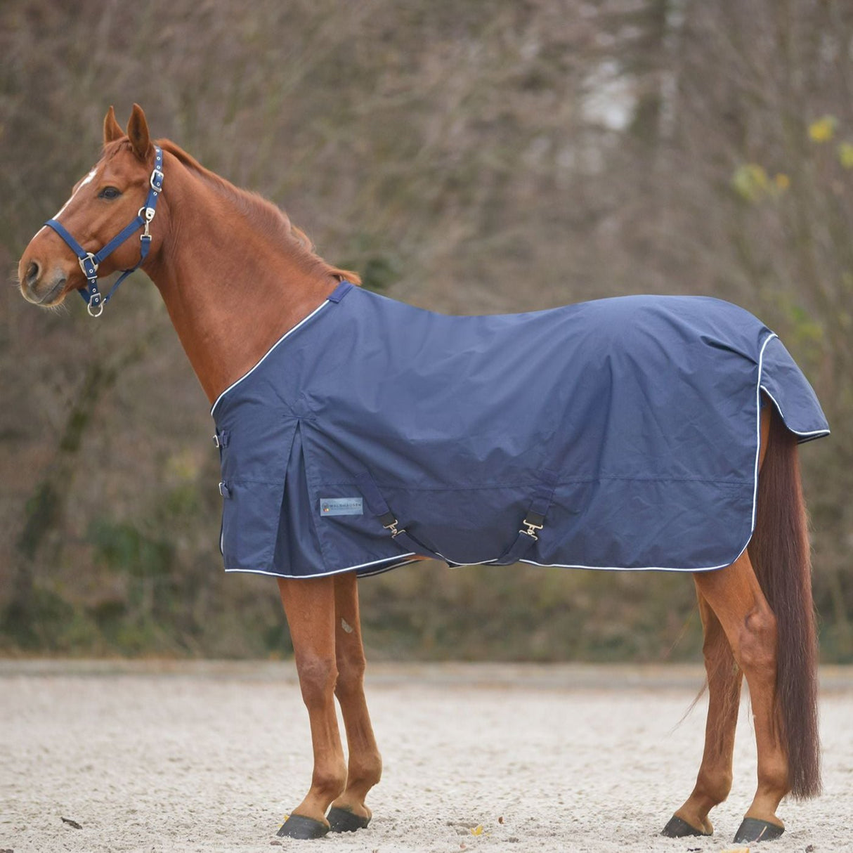 Waldhausen Comfort Light Weight Turnout Rug #colour_night-blue