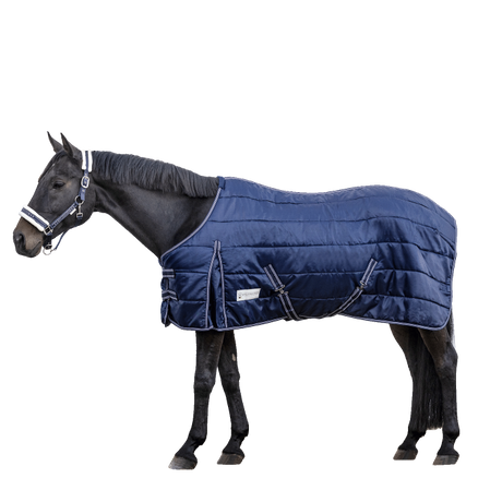 Waldhausen Economic 100g Stable Rug #colour_night-blue