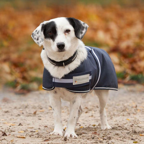 Waldhausen Comfort Line 200g Outdoor Dog Rug #colour_navy-white