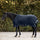 Waldhausen Scandic 50g Turnout Rug #colour_night-blue