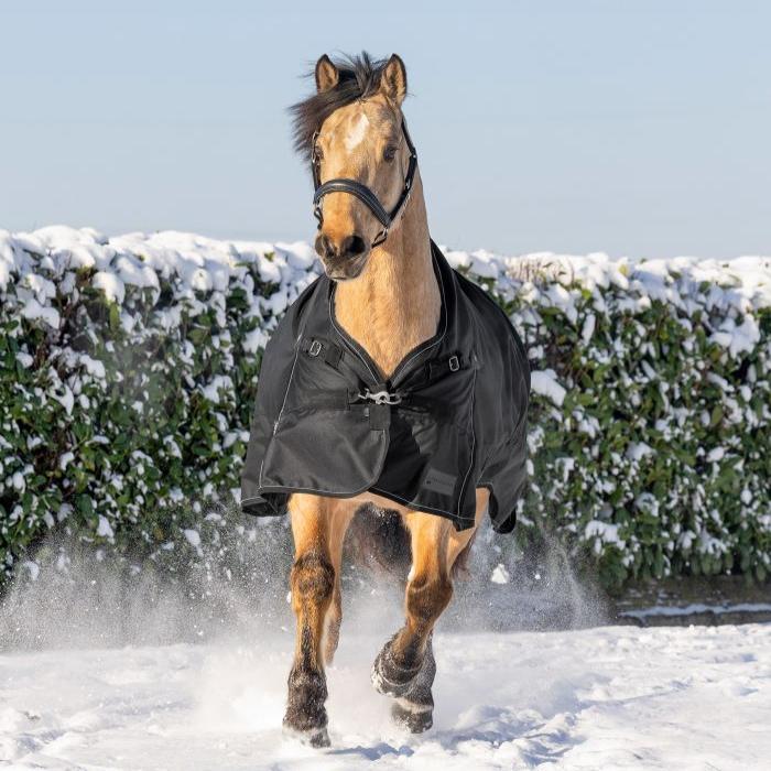 Waldhausen Scandic High Neck 100g Turnout Rug #colour_black