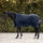 Waldhausen Scandic High Neck Light Turnout Rug #colour_night-blue