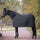 Waldhausen Fleece Underug #colour_black