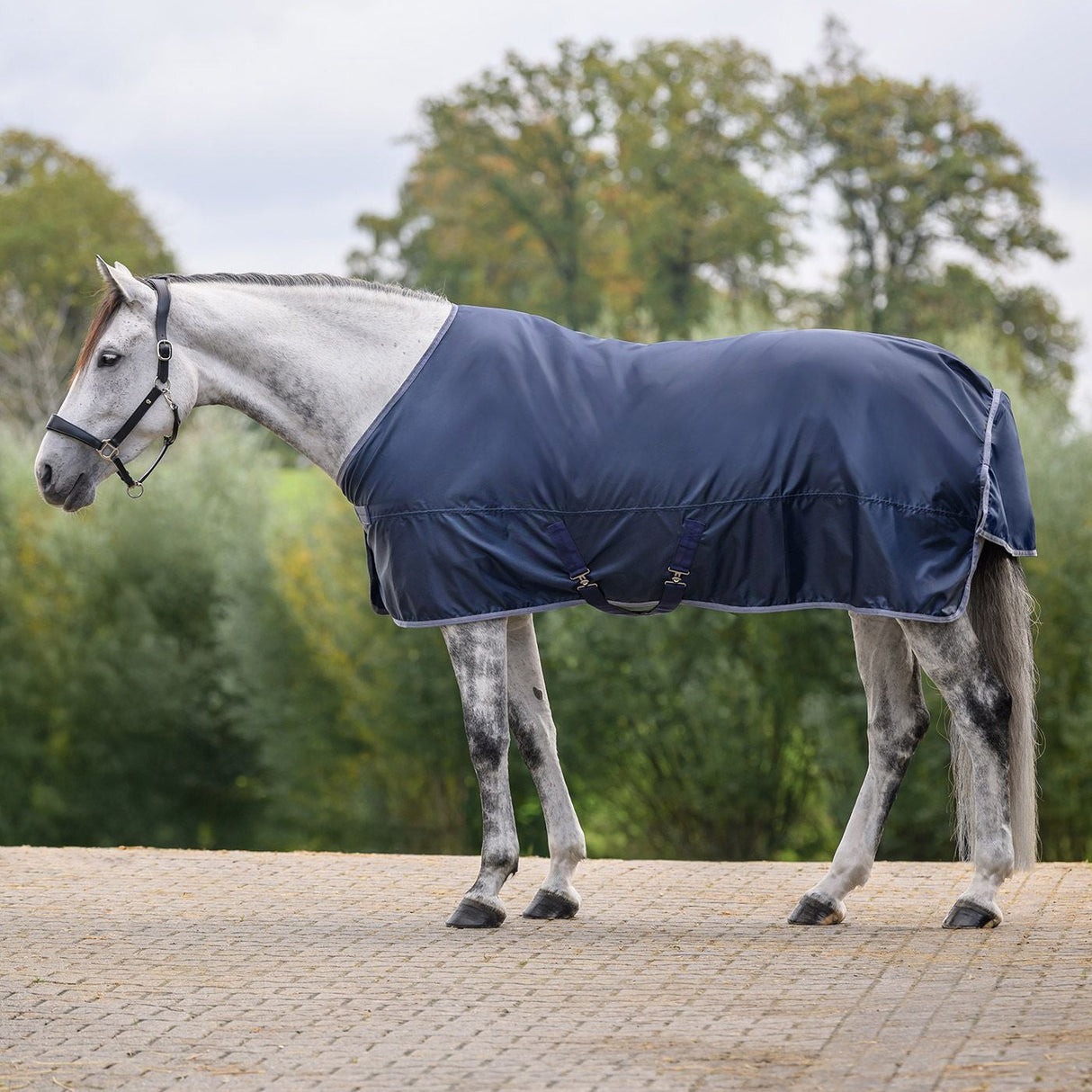 Waldhausen Economic Rain Rug #colour_night-blue