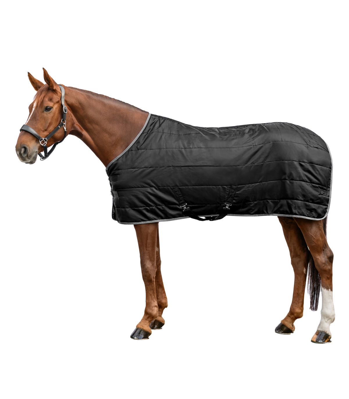 Waldhausen Economic Stable Rug  100 G