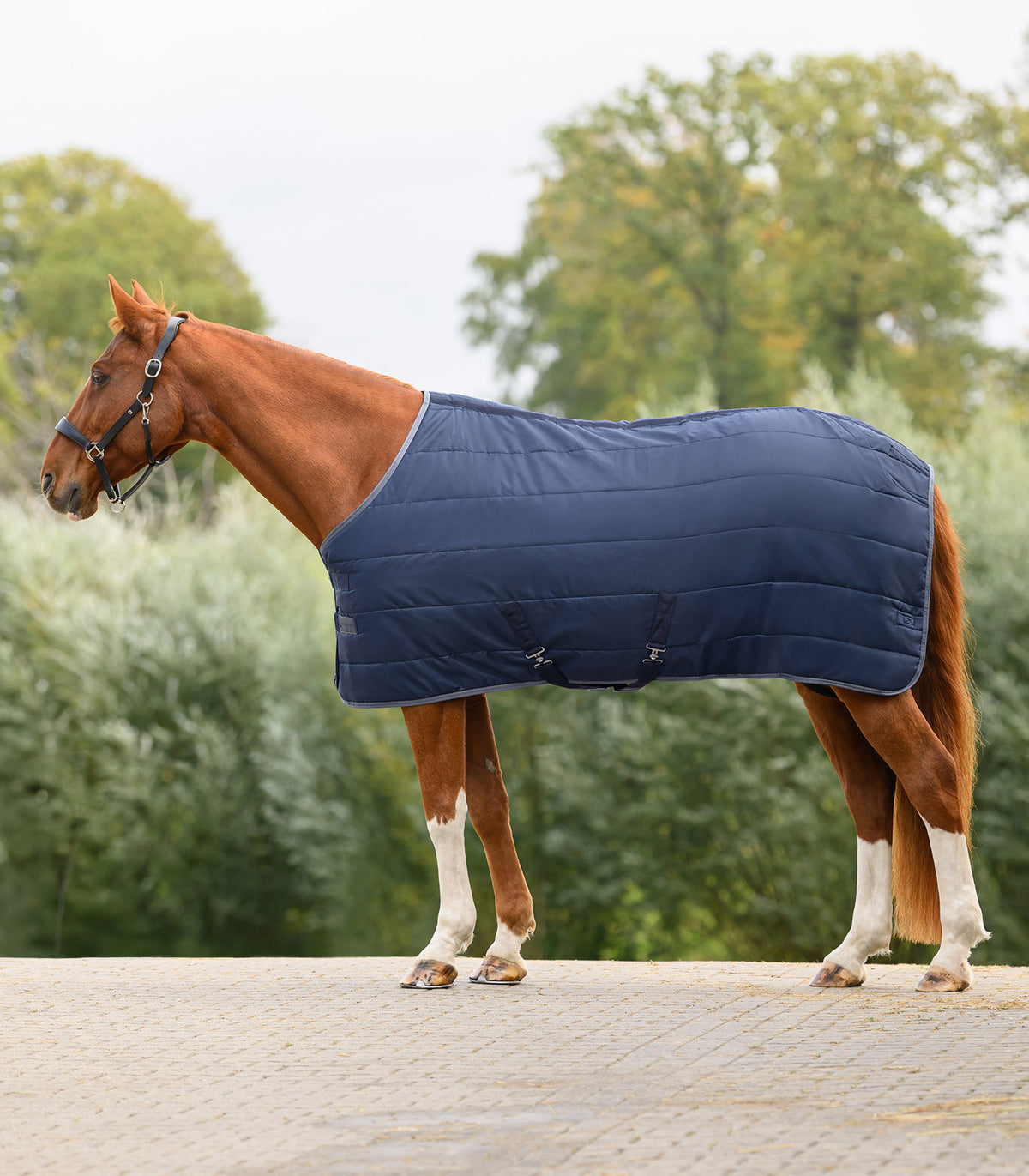 Waldhausen Economic Stable Rug  100 G