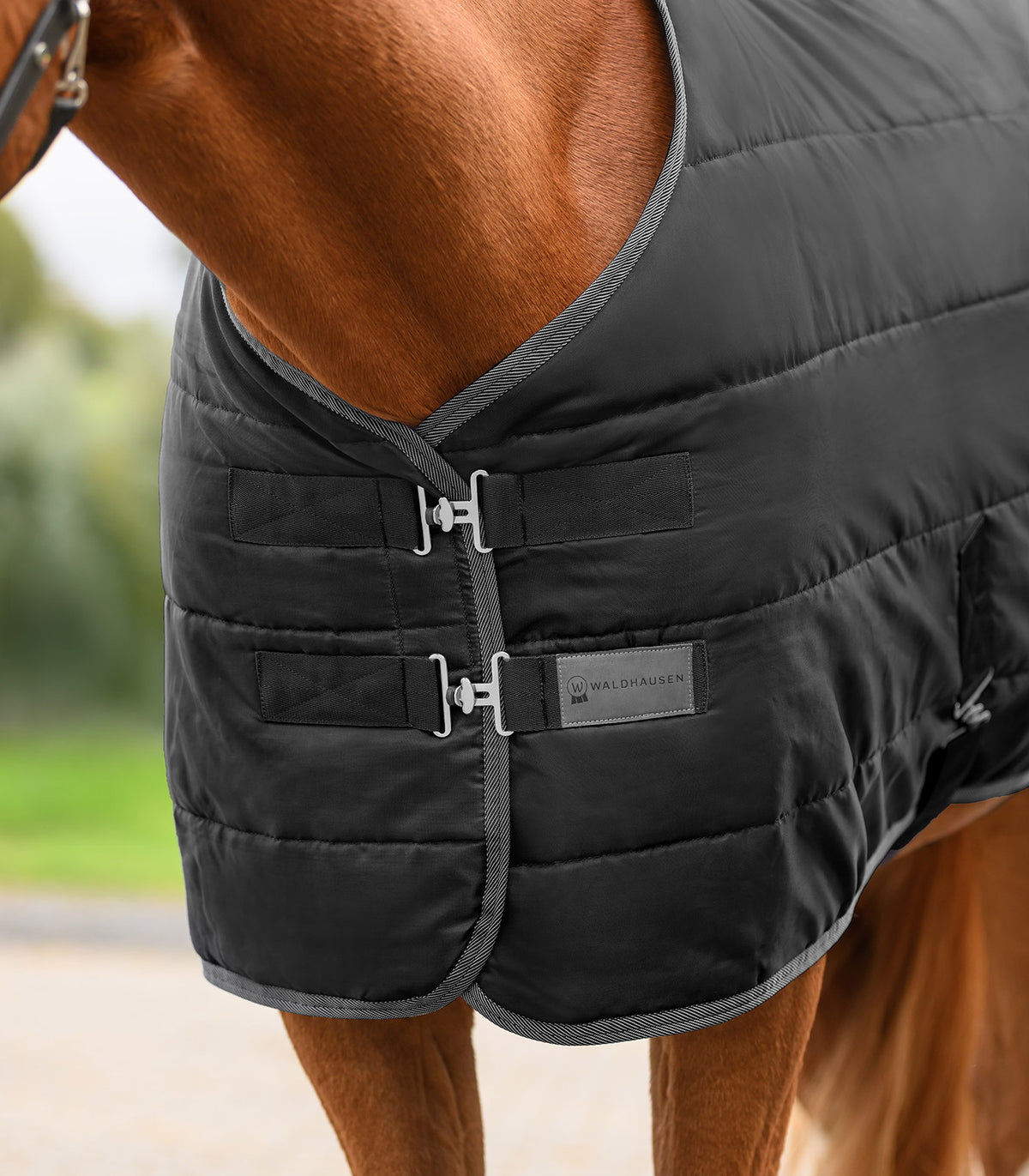Waldhausen Economic Stable Rug  300 G