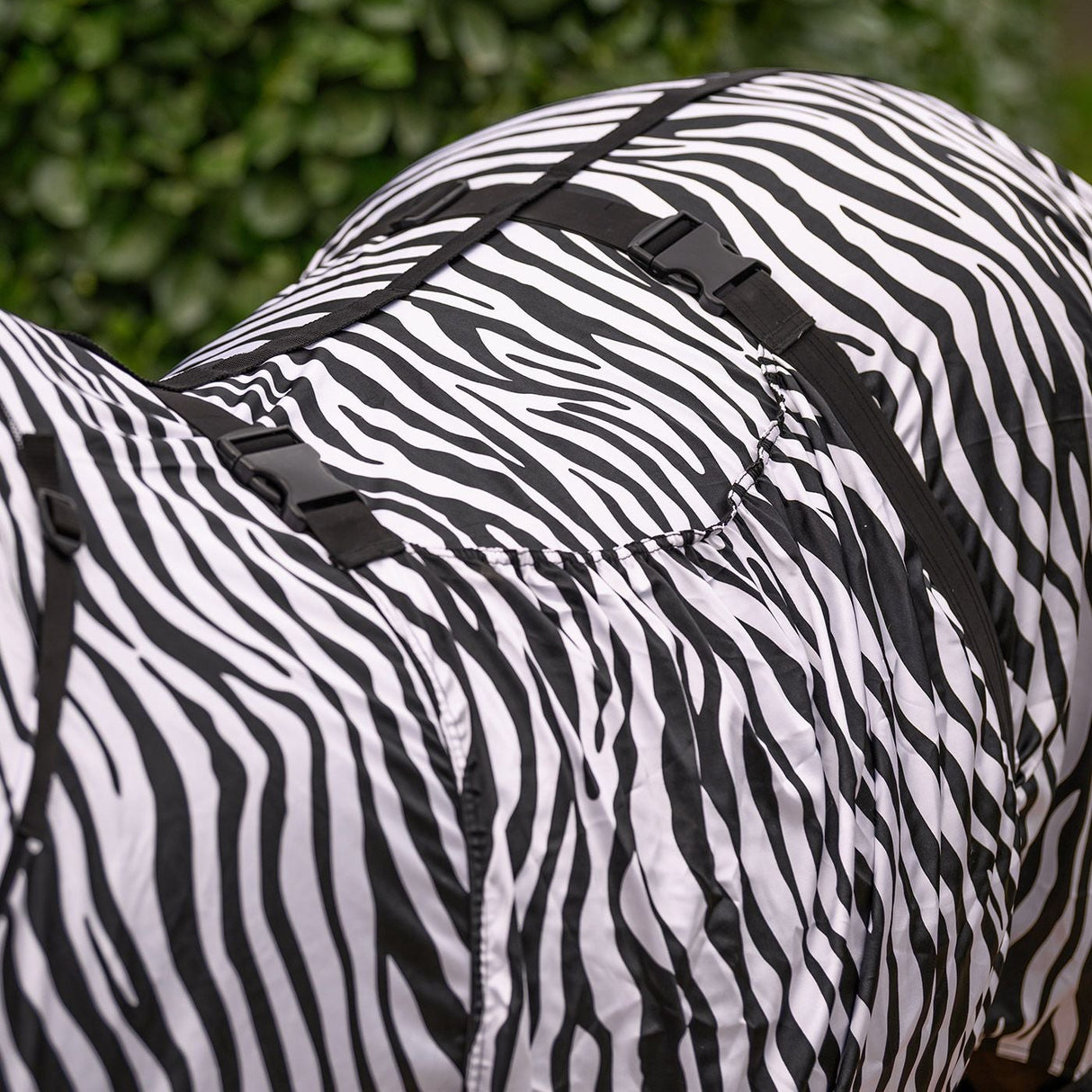 Waldhausen Eczemer Rug Zebra Basic
