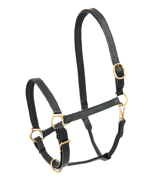 E.L.T Leather Halter #colour_black