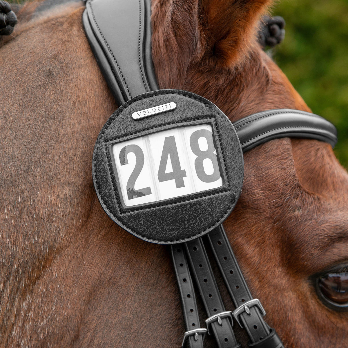 Shires Velociti Bridle Wettbewerbsnummernhalter