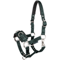 STAR Economic Lunging Halter #colour_fir-green