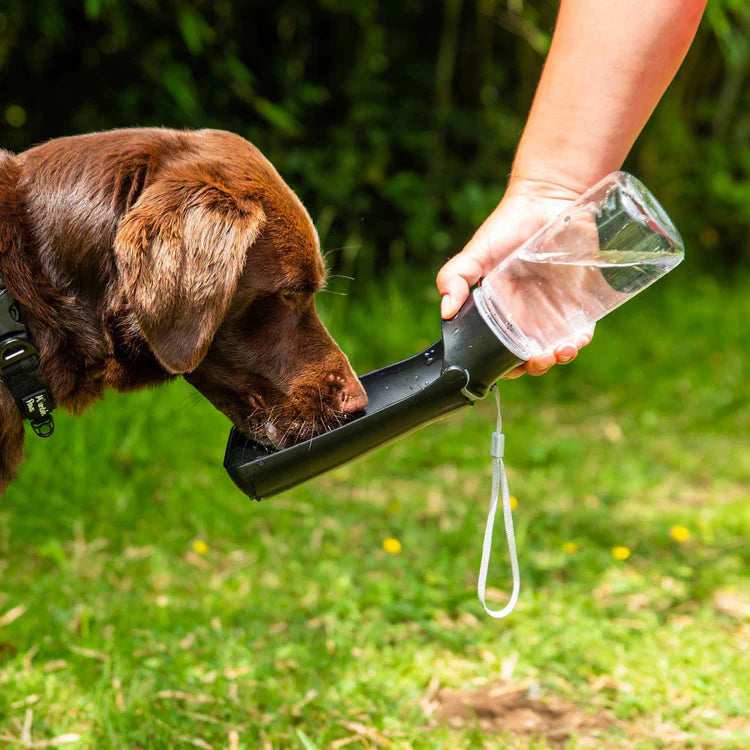 Mountain Paws Folding Dog Water Bottle