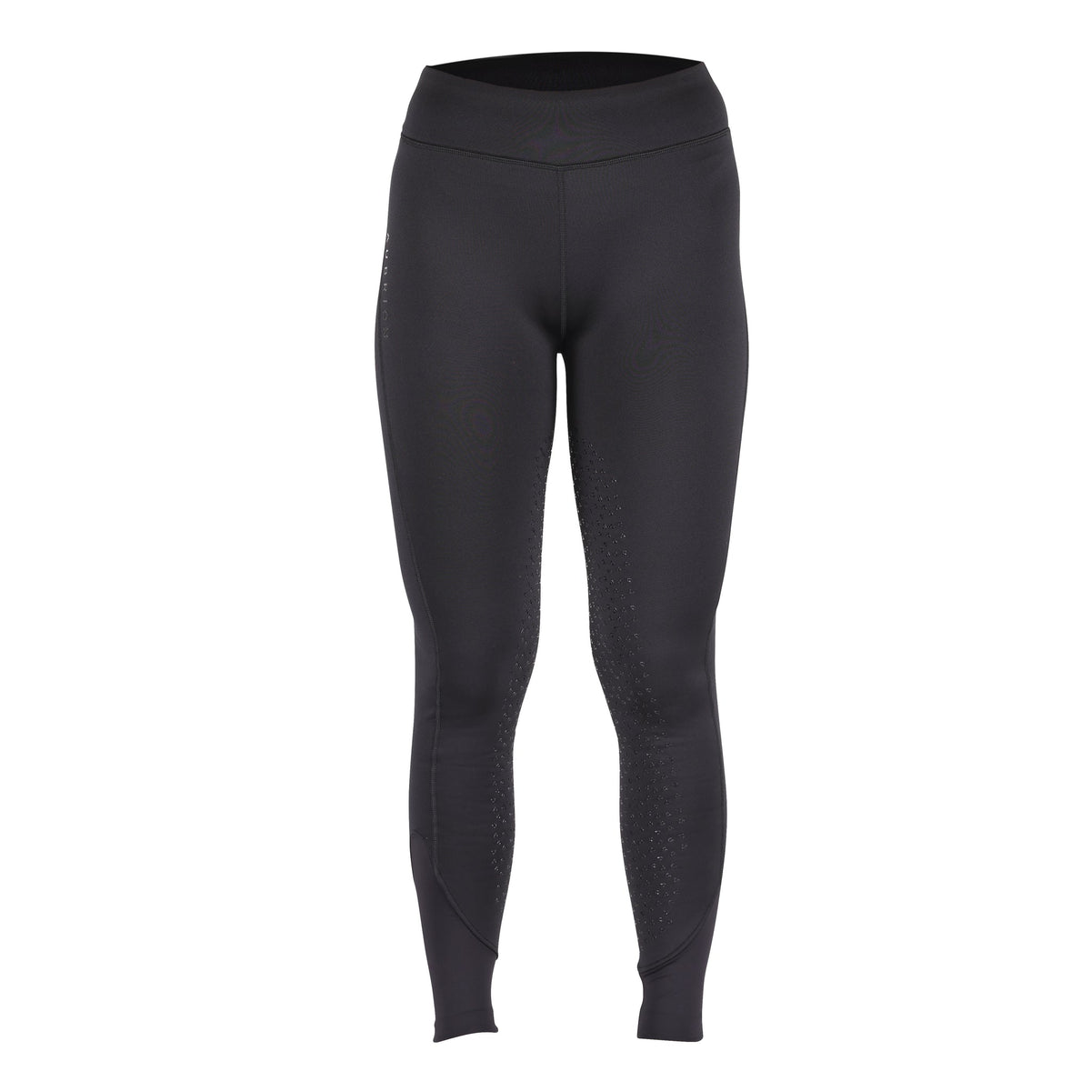 Shires Aubrion Porter Ladies Winter Riding Tights in Charcoal, front view