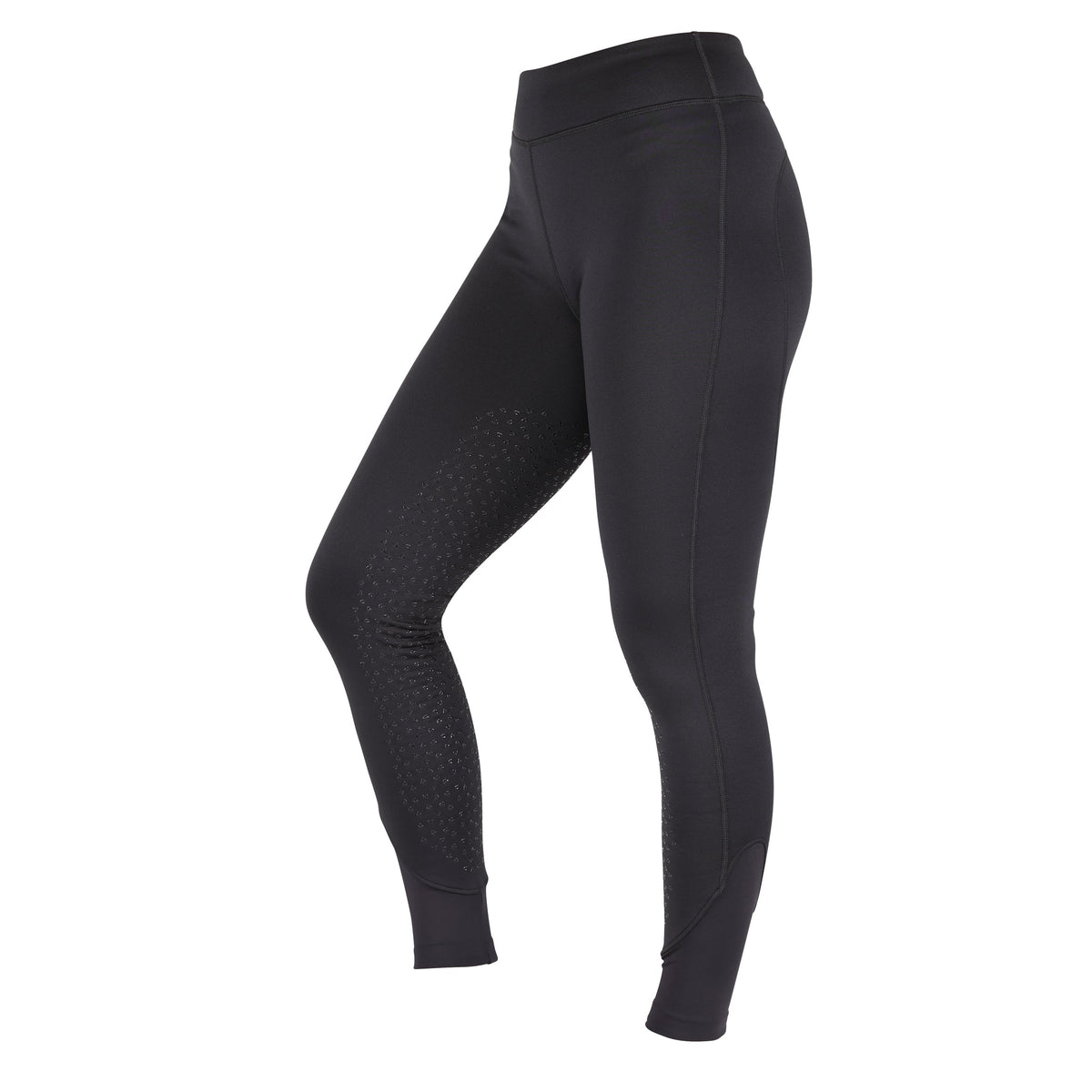 Shires Aubrion Porter Ladies Winter Riding Tights in Charcoal, side view