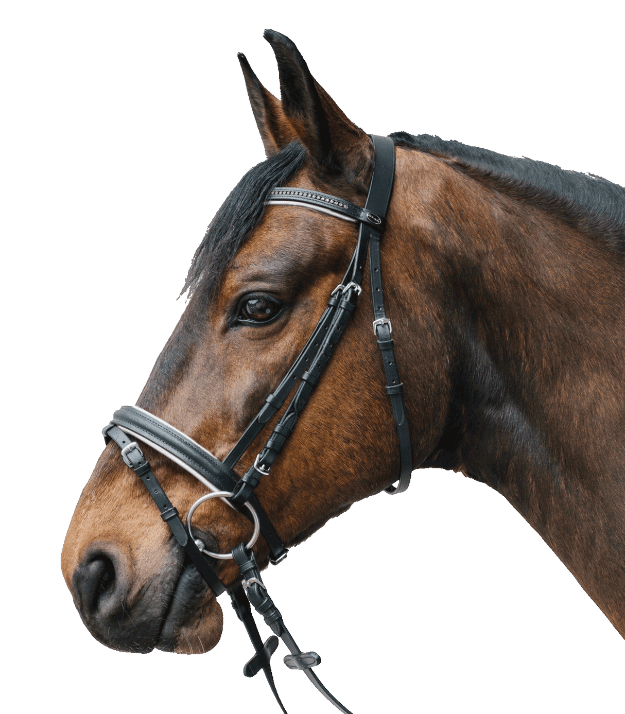 Waldhausen Star Diamond Bridle #colour_black-white