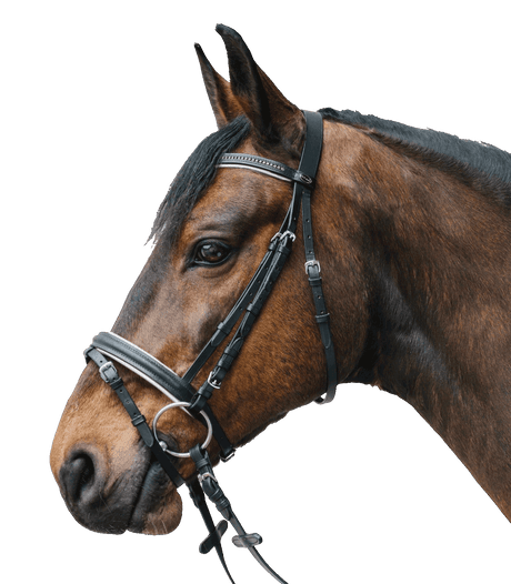 Waldhausen Star Diamond Bridle #colour_black-white