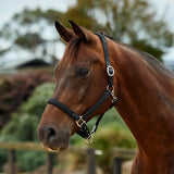 Dublin Braided Leather Padded Horse Headcollar