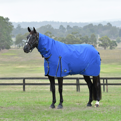 Weatherbeeta Comfitec Essential 220G Combo Turnout #colour_cobalt-black