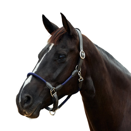 Dublin Leather Rope Headcollar with Nickel Buckles