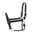Shires ARMA Premium Adjustable FieldSafe Headcollar #colour_black