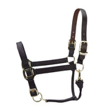 Shires ARMA Premium Adjustable FieldSafe Headcollar #colour_black