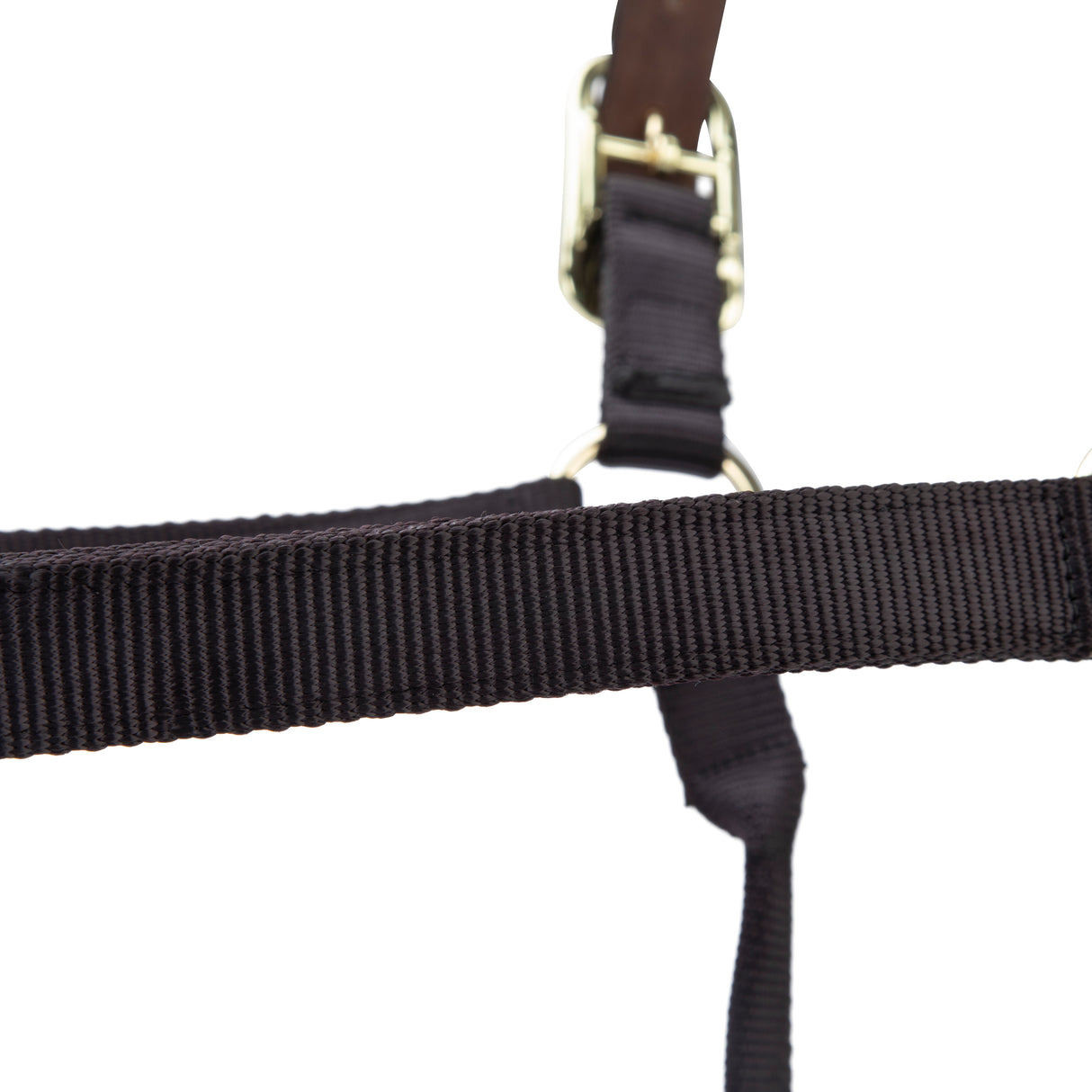 Shires ARMA Premium Adjustable FieldSafe Headcollar #colour_black
