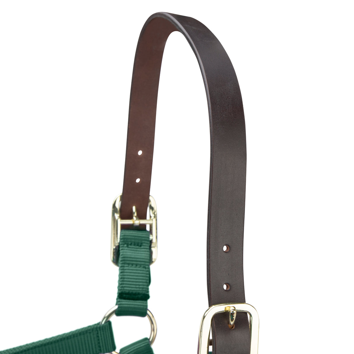 Shires ARMA Premium Adjustable FieldSafe Headcollar #colour_hunter