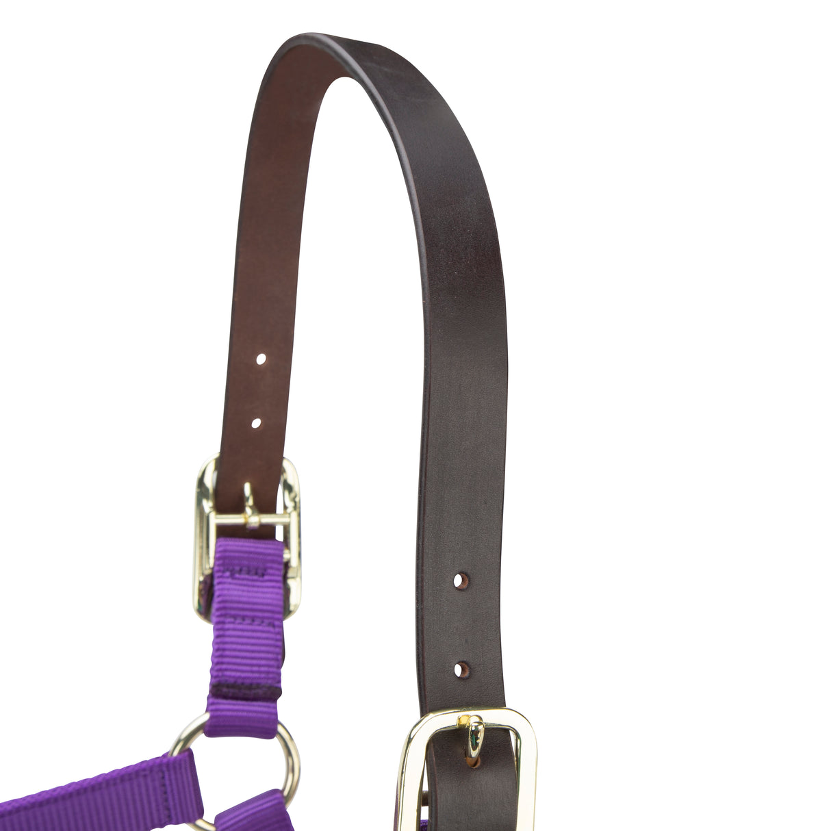 Shires ARMA Premium Adjustable FieldSafe Headcollar #colour_purple