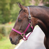 Shires ARMA Premium Adjustable FieldSafe Headcollar #colour_raspberry