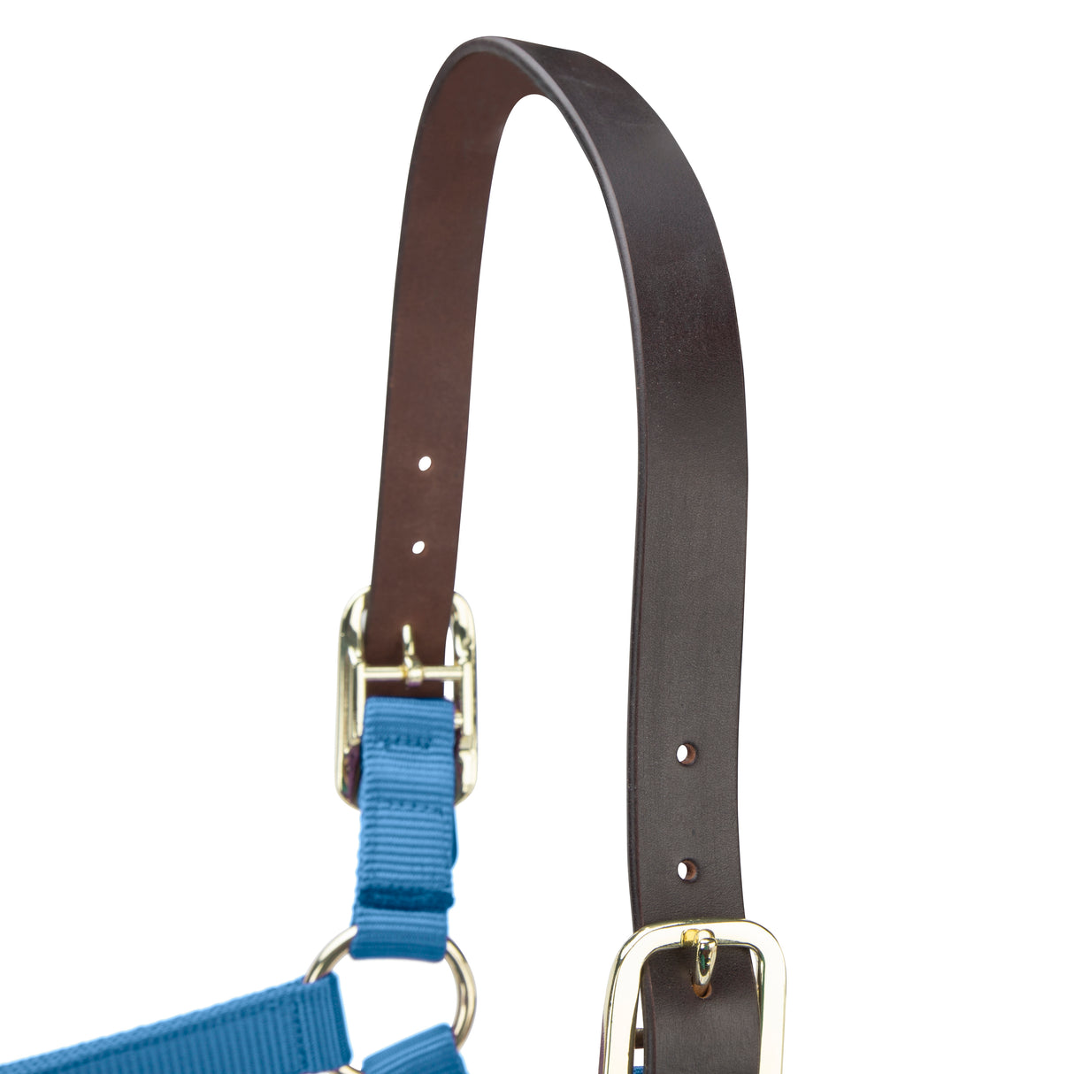 Shires ARMA Premium Adjustable FieldSafe Headcollar #colour_royal