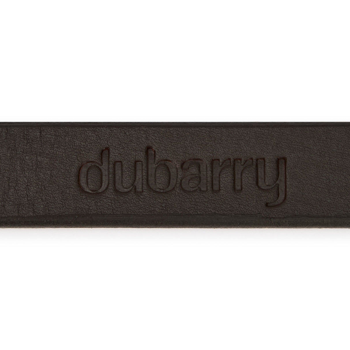 Dubarry Ranger Leather Dog Lead
