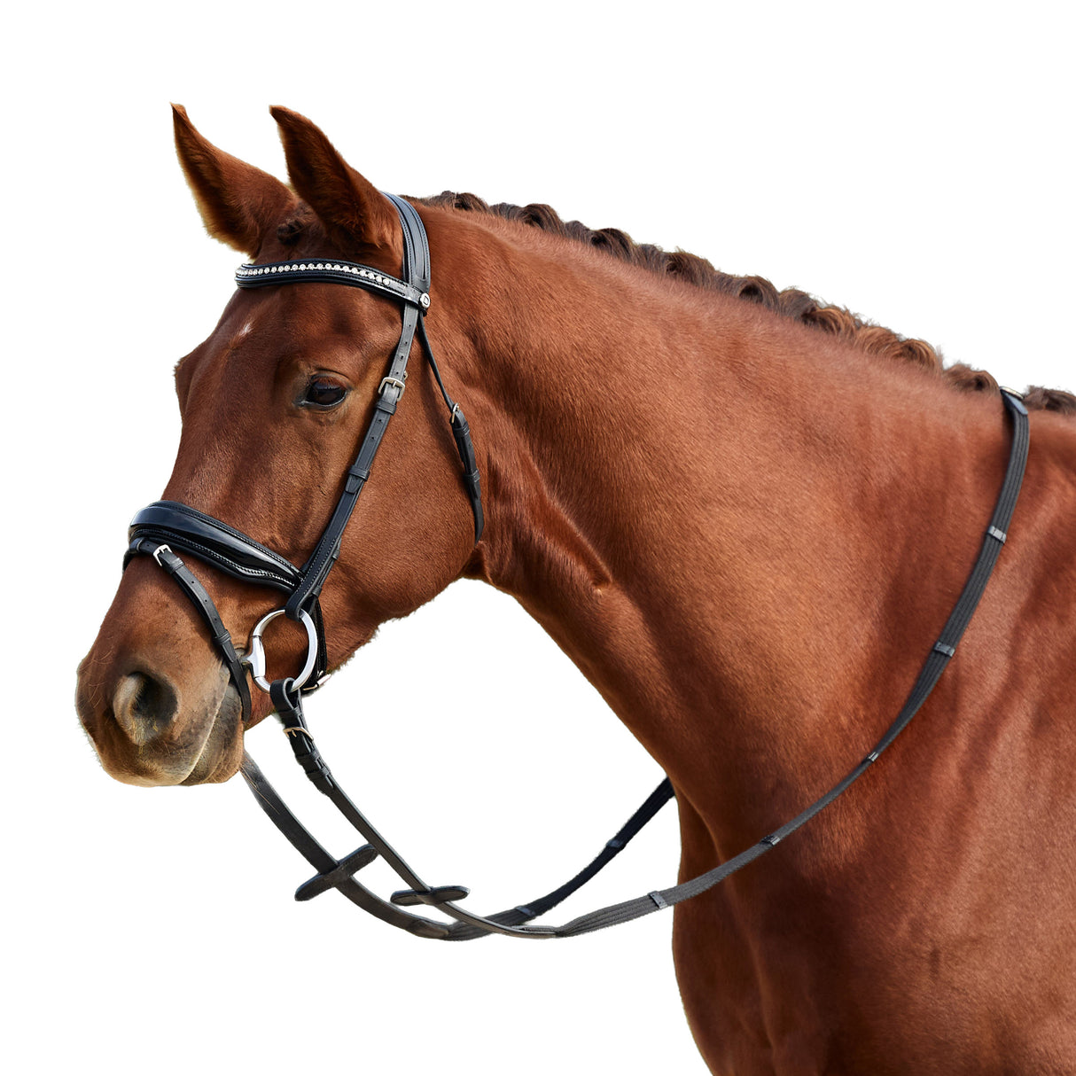 Dublin Padded Comfort Crown Patent Flash Bridle with Crystal Browband