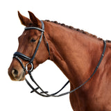 Dublin Padded Comfort Crown Patent Flash Bridle with Crystal Browband