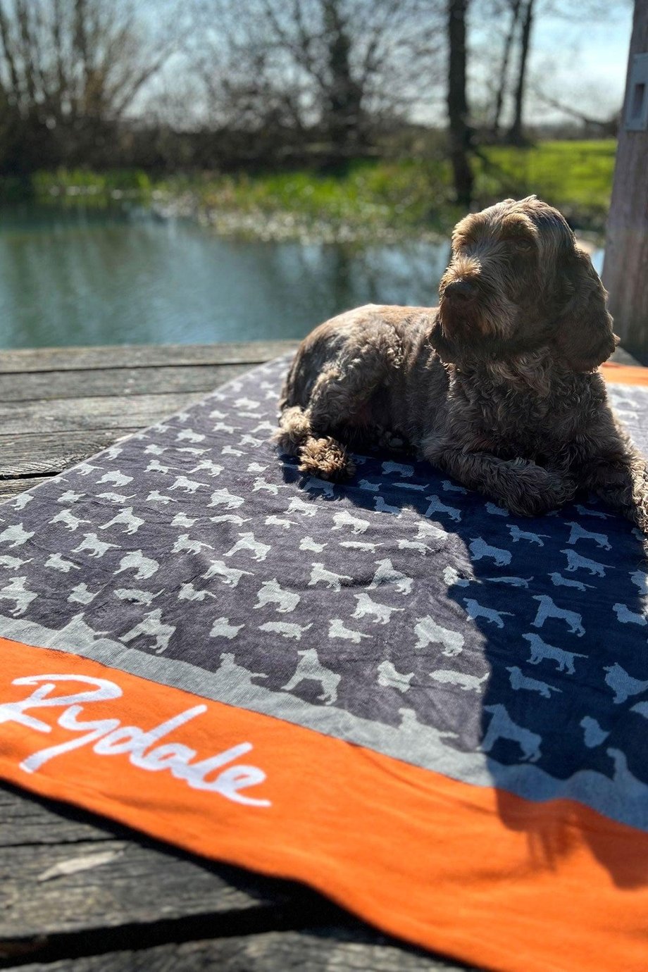 Rydale Medium Dog Drying Towel - Yapham