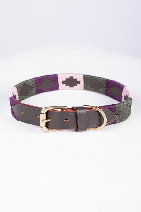 Rydale Polo Belt Dog Collar