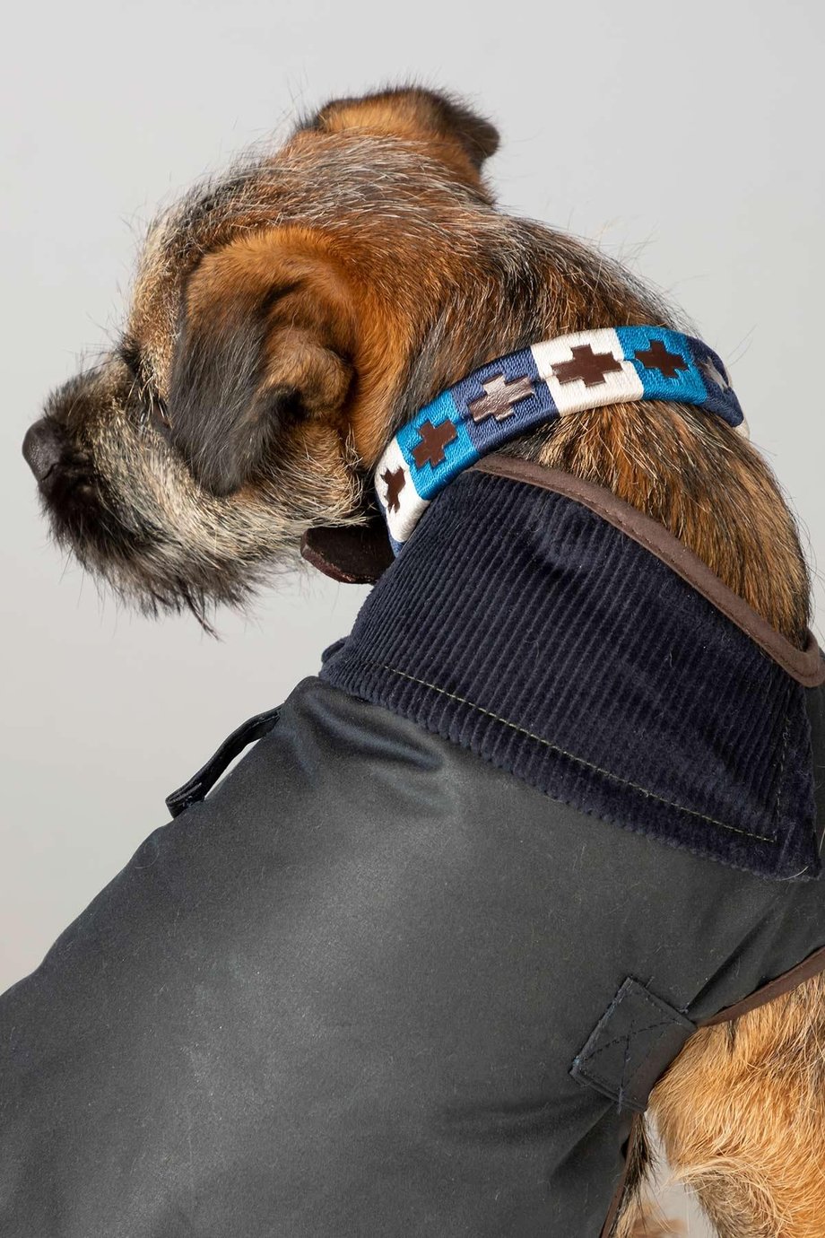 Rydale Polo Belt Dog Collar