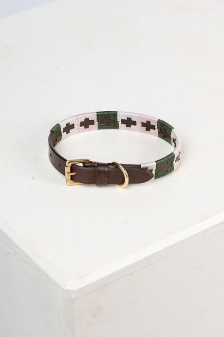 Rydale Polo Belt Dog Collar