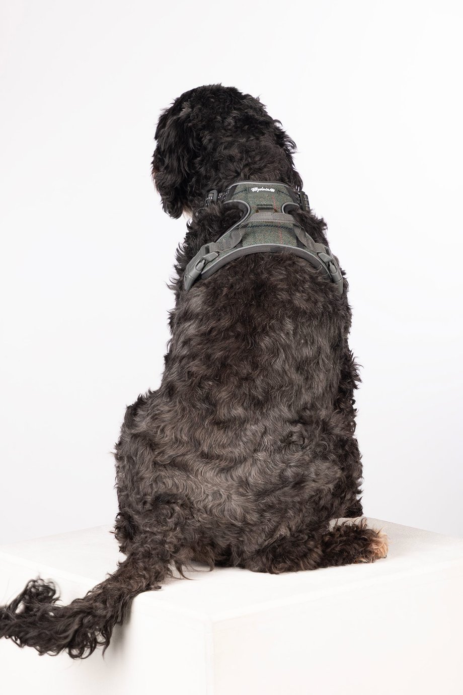 Rydale Reflective Dog Harness - Yapham