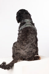 Rydale Reflective Dog Harness - Yapham