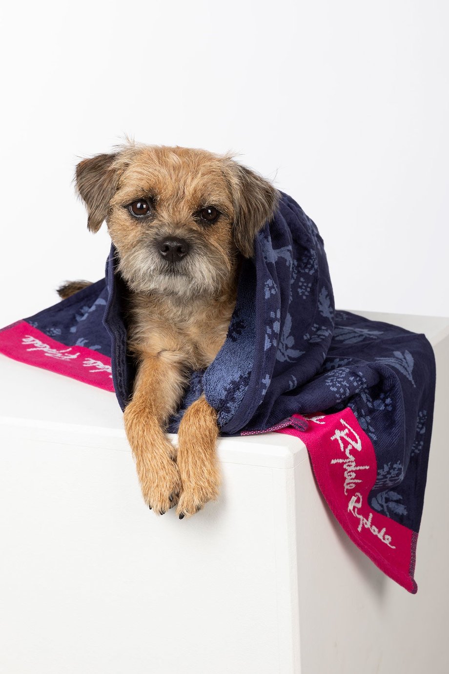 Rydale Small Dog Drying Towel - Yapham