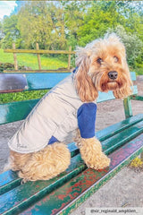 Rydale Reflective Dog Jumper - Muston