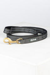 Rydale Reflective Dog Lead - Yapham