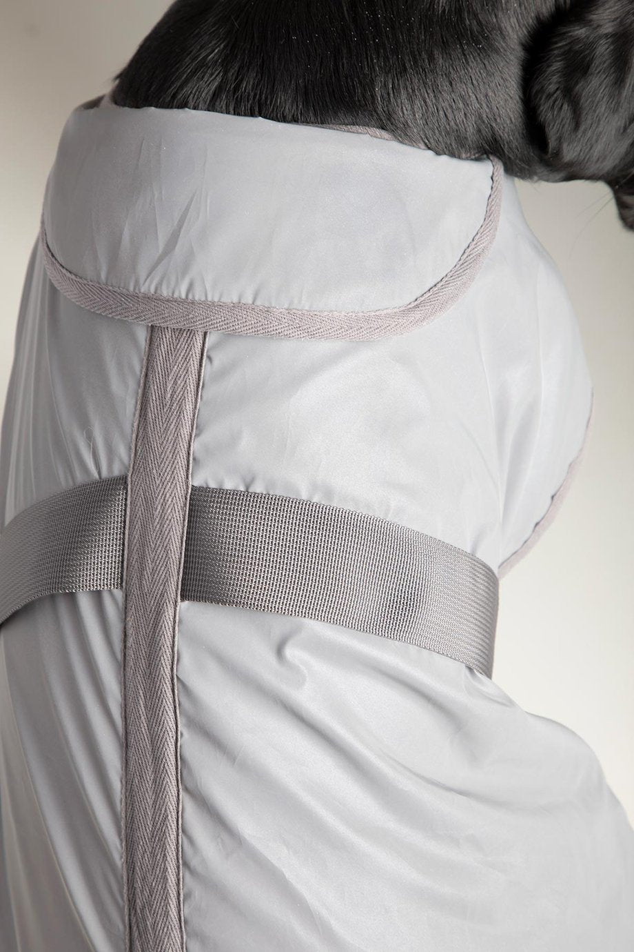 Rydale Reflective Dog Coat - Muston