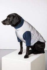 Rydale Reflective Dog Jumper - Muston