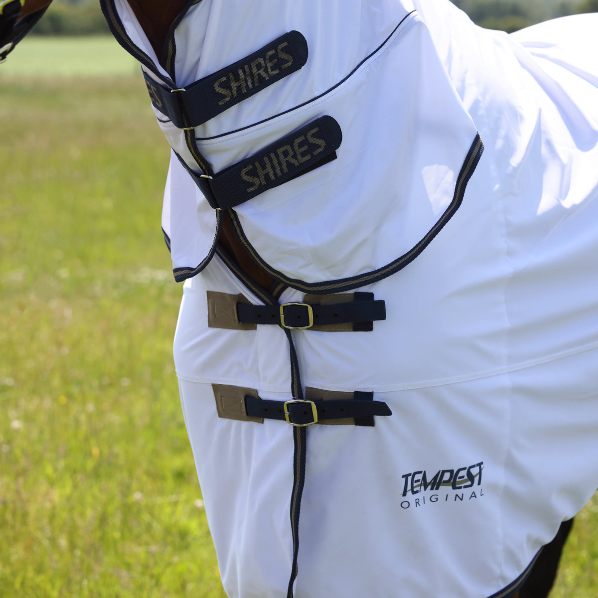 Shires Tempest Original Fly Combo Rug