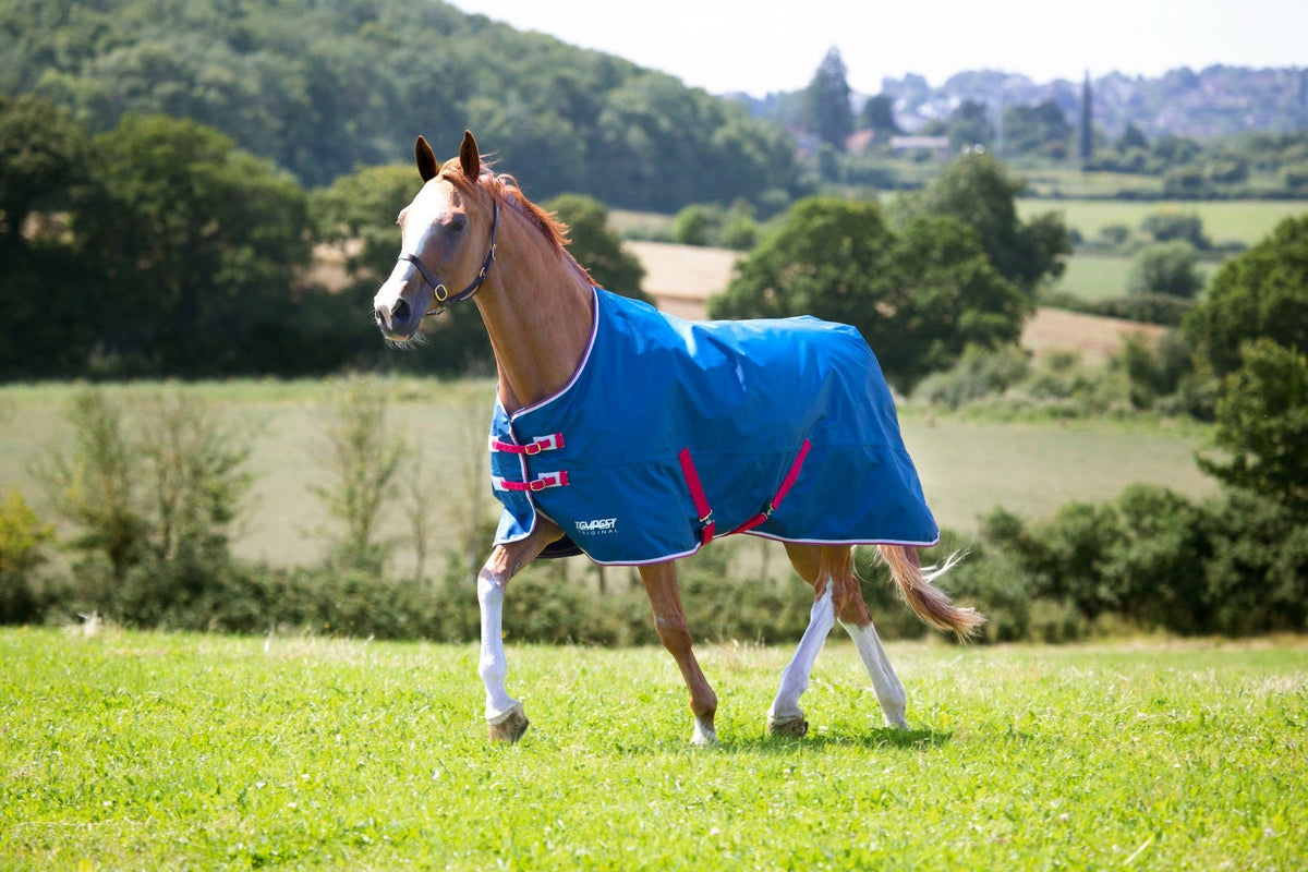 Couverture de participation Shires Tempest Original Lite